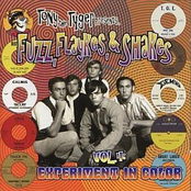 Fuzz, Flaykes, & Shakes Vol 4