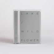 THLMS20: LAKE / WILDFLOWER