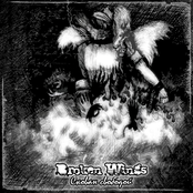 Скован свободой