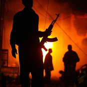 Rebel Bass Sampler 2008