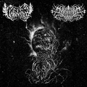 Mysterivm Xarxes - Split