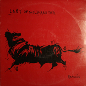 Thaumaturgical Moose by Last Of The Juanitas