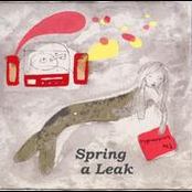 spring a leak