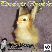 Pintologia Chronicles