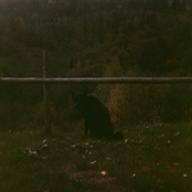 Room No. 5 in four parts