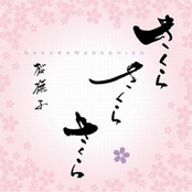 SAKURA SAKURA SAKURA