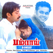 Bombay
