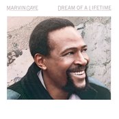 Album cover for Dream Of A Lifetime, by Marvin Gaye