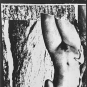 Aqua-Eroticum / Swallowing Bile