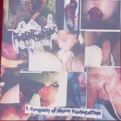 A Symphony Of Phallus Pulverization