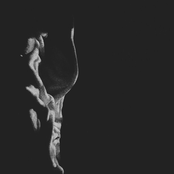Transience Frequency