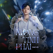 Mộng Tình Phai