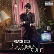 Regular Night by Roach Gigz