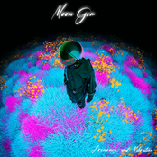 Frequency and Vibration