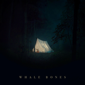 Whale Bones: The Doors Are Locked, the Blinds Are Closed, I Am Not Home