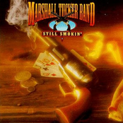 Two Hearts Fallen by The Marshall Tucker Band
