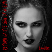 Return of the Son of a Gun