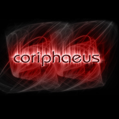 coriphaeus