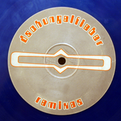 Dschungelfieber Remixes