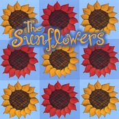 The Sunflowers