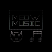 meow music
