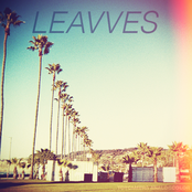 leavves