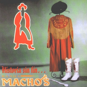 Banda Machos: Historia sin fin