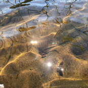 Aleksi Perala: ALITHIA A'