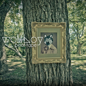 the wolfboy collection