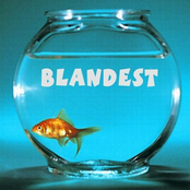 Blandest