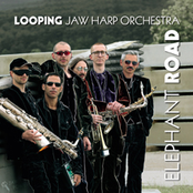 Looping Jaw Harp Orchestra