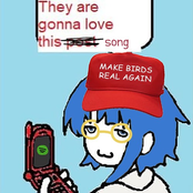 MAKE BIRDS REAL AGAIN