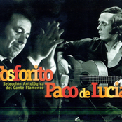 Fosforito & Paco De Lucía