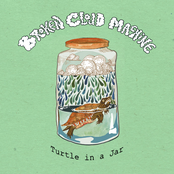 Turtle in a Jar