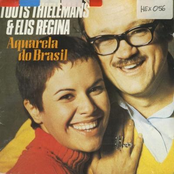 Elis Regina/toots Thielemans