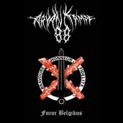 Furor Belgikus
