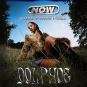 NOW THAT'S WHAT I CALL DOLPHOE