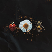 What We Leave Behind