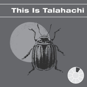 This Is Talahachi