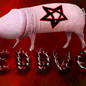 1shma3l's P3t P1g Penis!!11!@@@