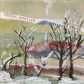 Cheryl Wheeler: Different Stripe