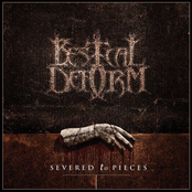 Severed To Pieces