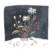 Words in Ascending Order