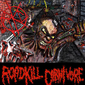 Roadkill Carnivore