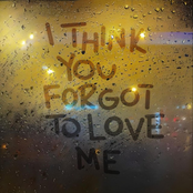 I Think You Forgot to Love Me