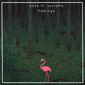 Flamingo (feat. Spiraffe)