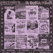 World In Shreds 4 New Jersey
