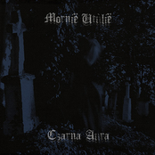 Czarna Aura