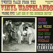 Twisted Tales From The Vinyl Wastelands Vol 5