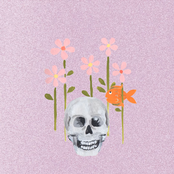 You're Still My Sugar